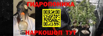 бутират Кингисепп