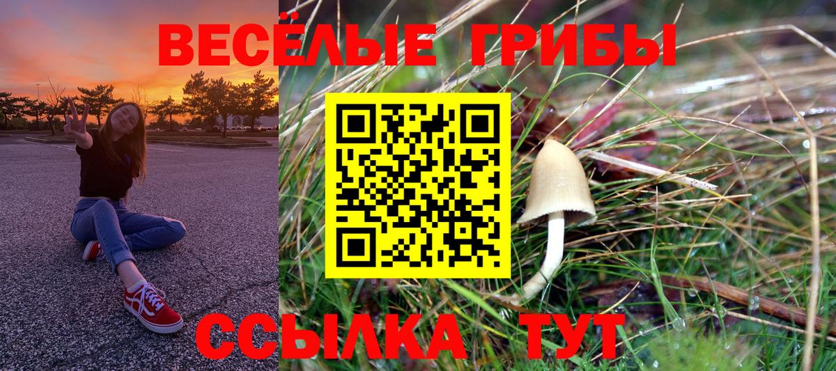 Псилоцибиновые грибы Psilocybine cubensis  Псилоцибиновые грибы ЛСД  Балтийск  Вход с VPN 