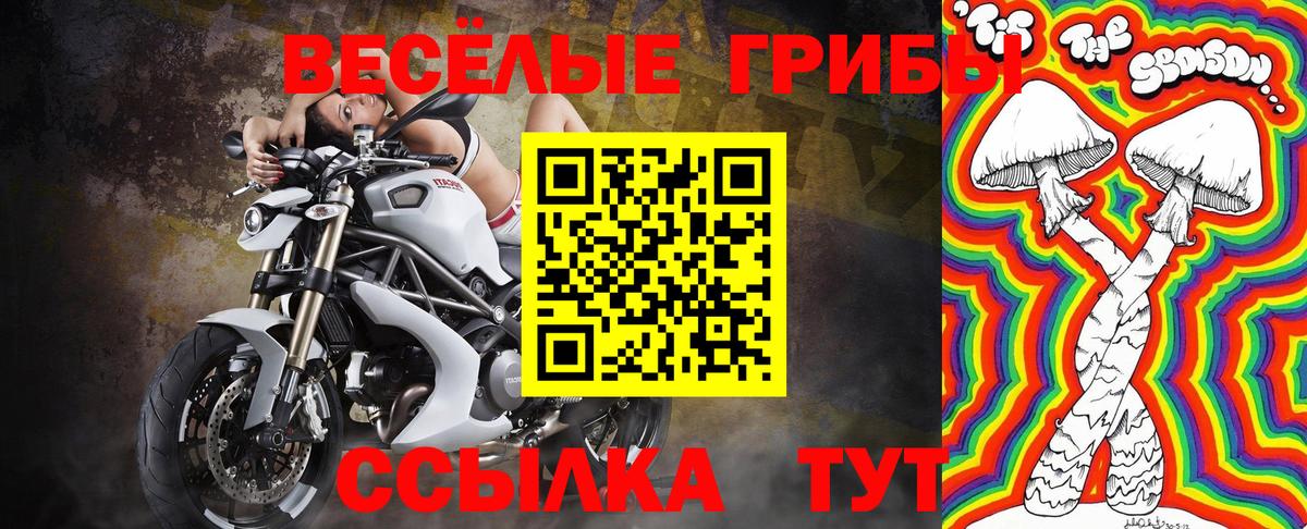 Псилоцибиновые грибы прущие грибы Балтийск