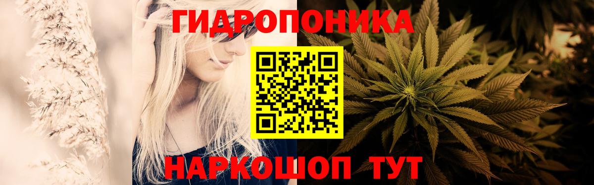 Марихуана тримм Балтийск